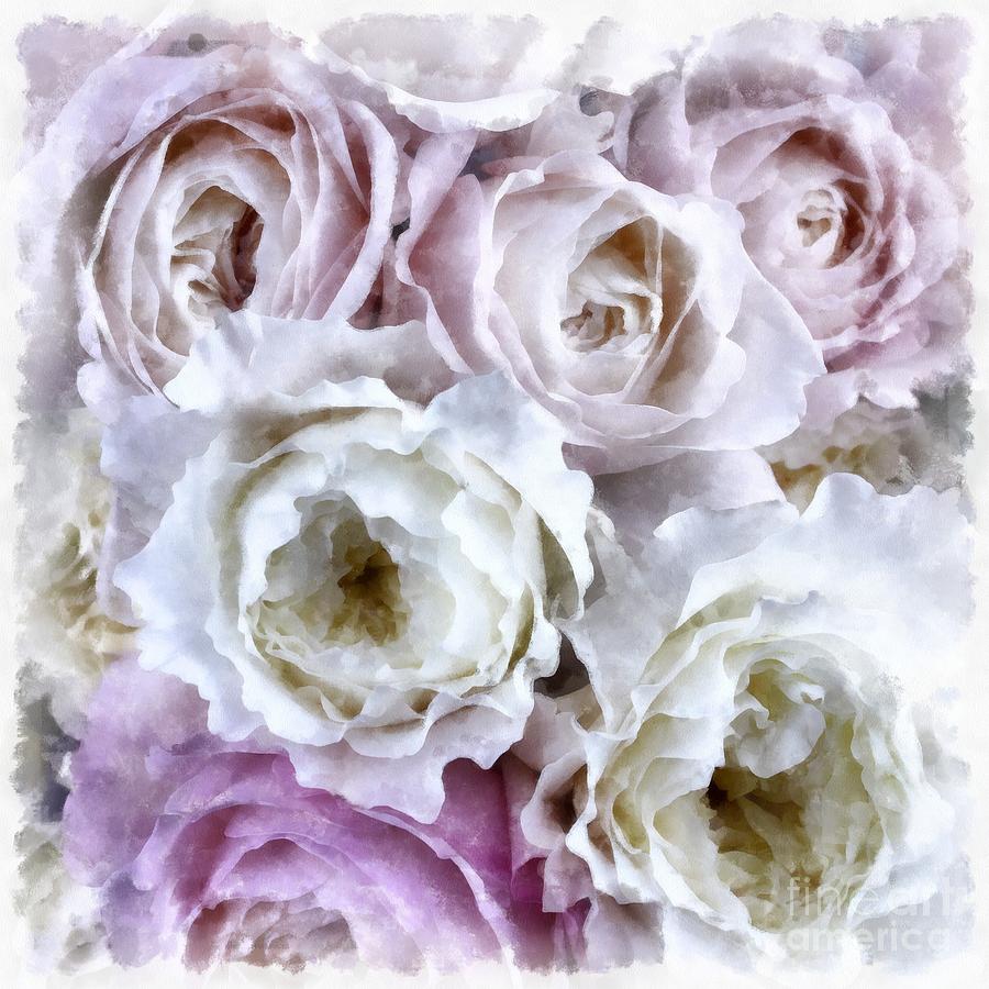 Rose Digital Art - Fine Pink Roses Square Watercolor by Edward Fielding