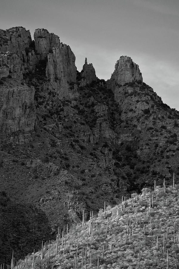 Finger Rock Canyon Black and White Photograph by Chance Kafka