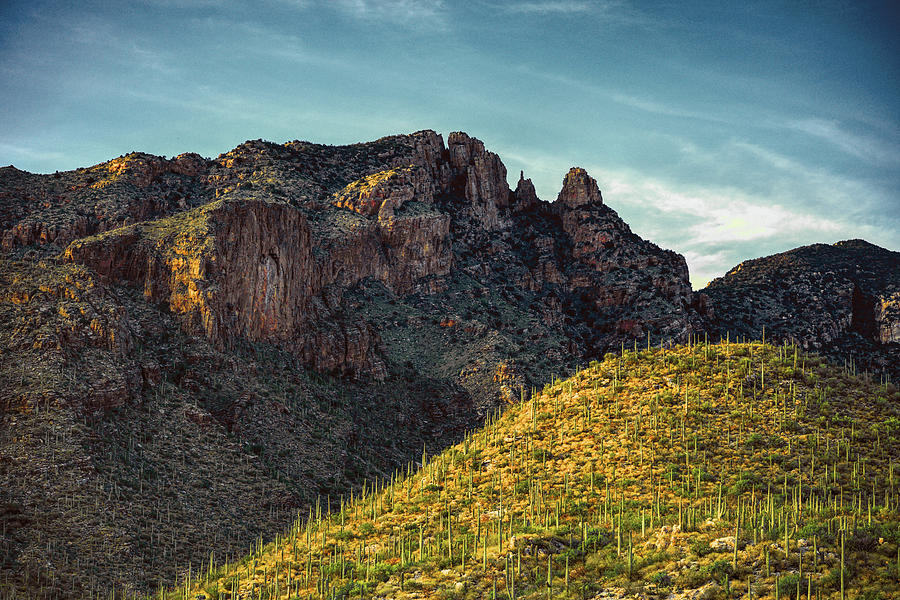 Finger Rock Canyon Glory  Photograph by Chance Kafka