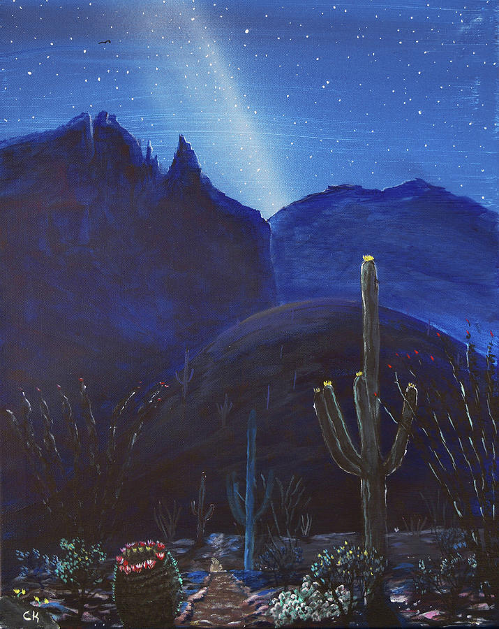 Finger Rock Trail Night, Tucson, Arizona Painting by Chance Kafka