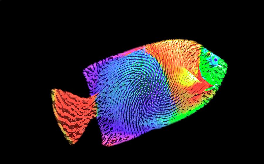 Fish Digital Art - Fingerprint on a fish by Pheasant Run Gallery