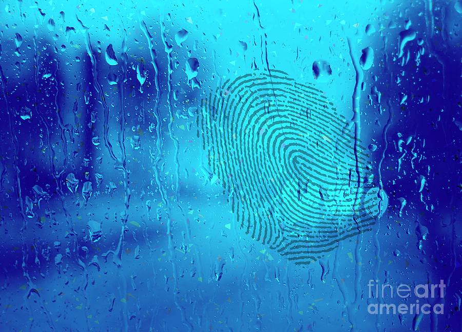 Fingerprint On Wet Glass Photograph by Victor Habbick Visions/science Photo Library