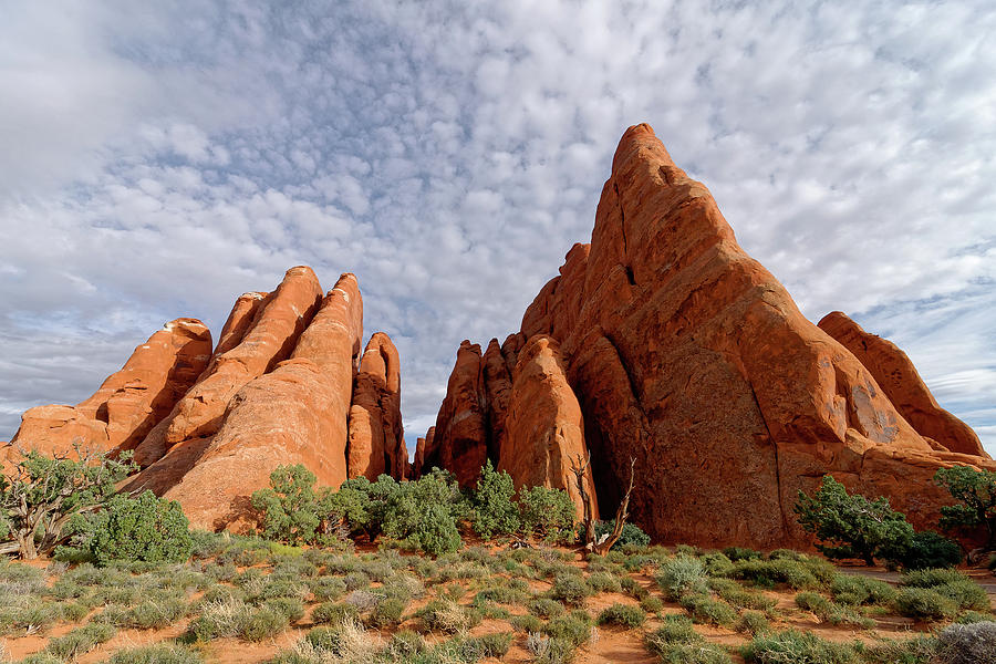 Fins -- Rock Formations in Arches National Park, Utah Photograph by Darin Volpe