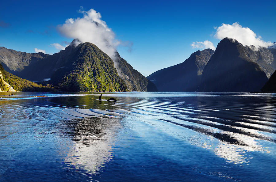 Landscape Photograph - Fiord Milford Sound, South Island, New by DPK-Photo