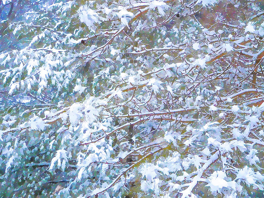 Fir branches covered with snow 6 Painting by Jeelan Clark
