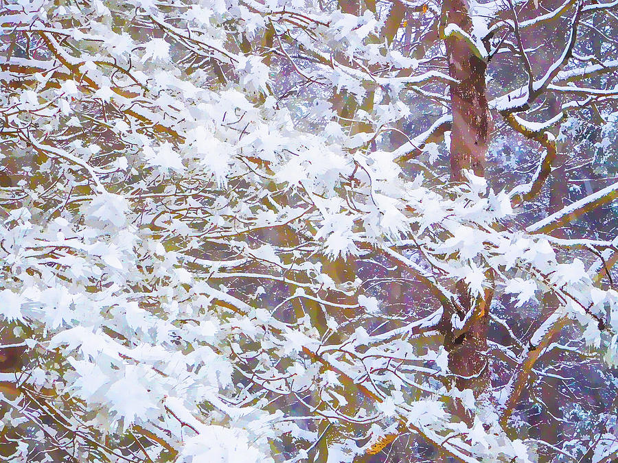 Fir branches covered with snow 7 Painting by Jeelan Clark