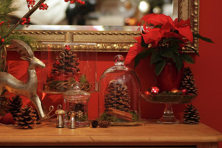 Fir Cones Under Glass Cloches, Miniature Tin Rocking Horse And Poinsettias As Christmas Decorations Photograph by Barbara Ellger