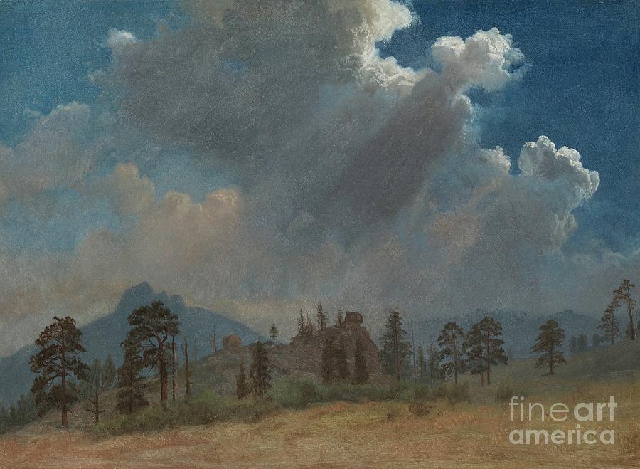 Fir Trees And Storm Clouds Drawing by Heritage Images