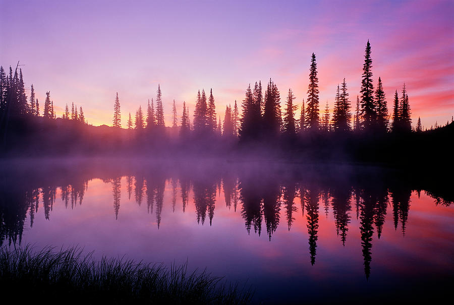 Fir Trees Reflect In Reflection Lake Photograph by Panoramic Images ...