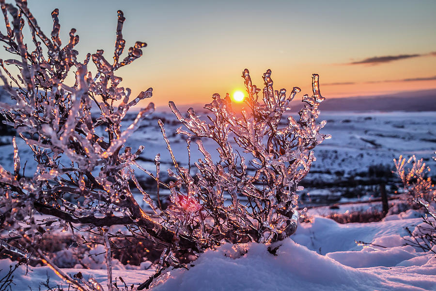 Fire and Ice Photograph by Diane Mintle