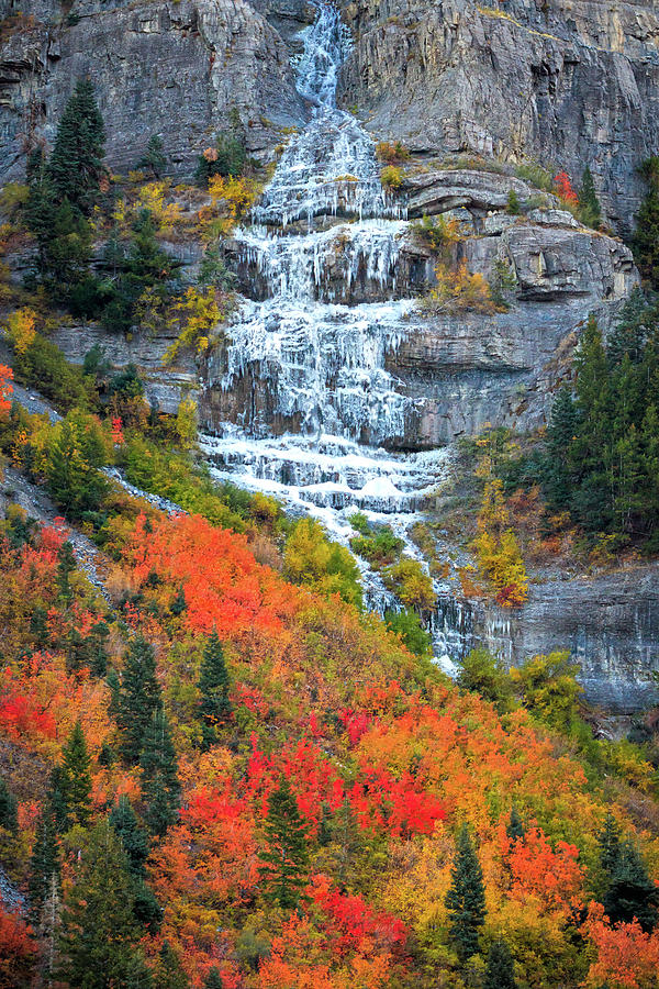 Fall Photograph - Fire and Ice by Wasatch Light