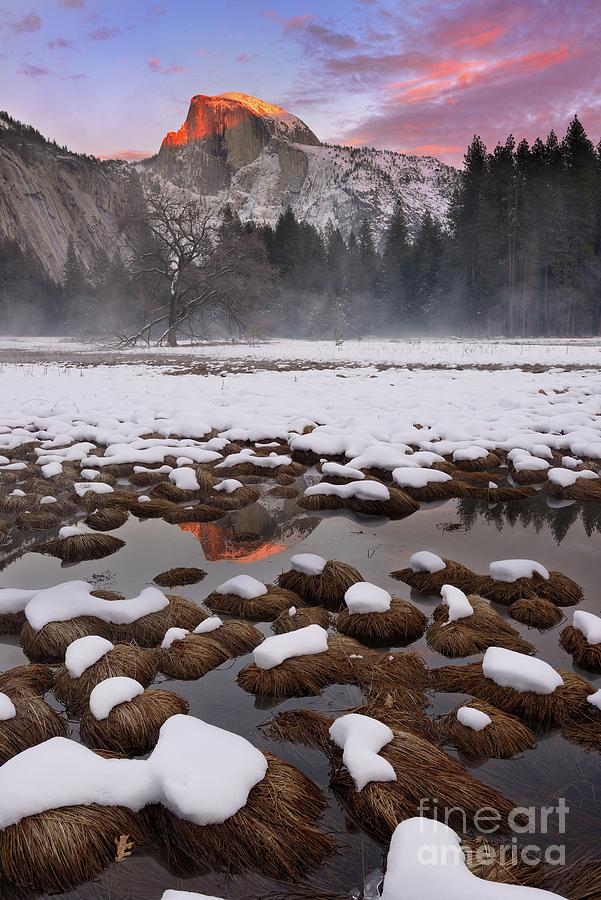 Winter Sunset on Half Dome in Yosemite Photograph by Tom Schwabel