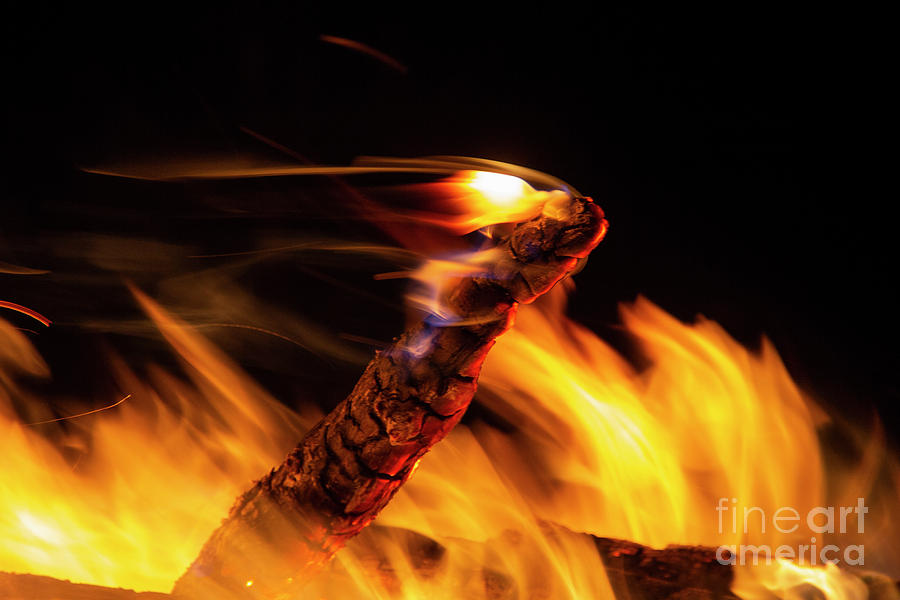 Fire Dragon by Agnieszka Ledwon Fire Dragon by Agnieszka Ledwon