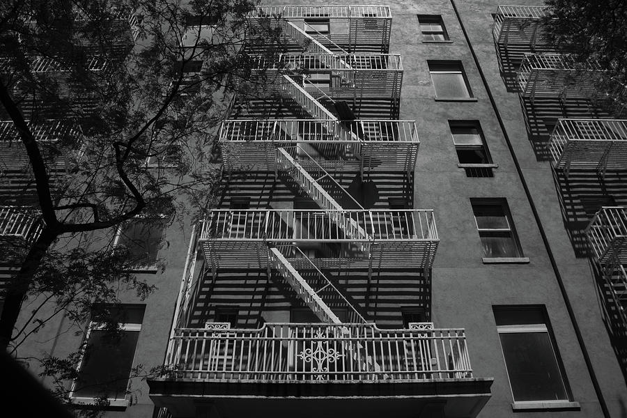 Fire escape and tree in black and white Photograph by Alan Goldberg