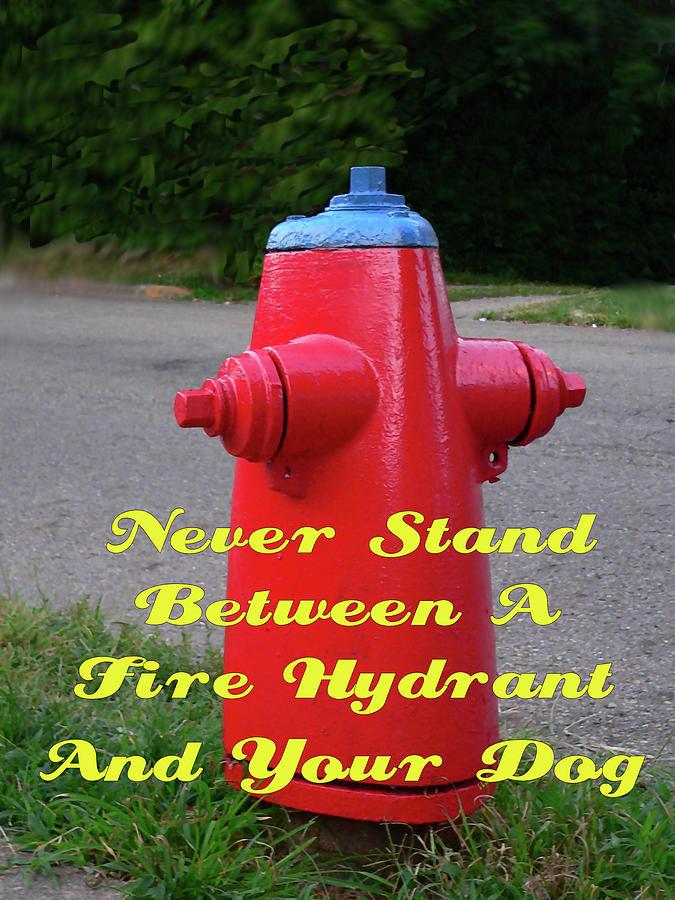 Fire Hydrant Advice Photograph by Kathy K McClellan