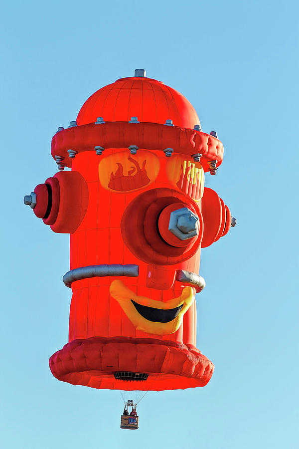 Fire Hydrant Balloon Photograph by Deborah Penland