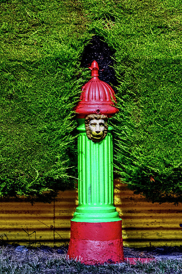 Fire Hydrant Colors by PAUL COCO Fire Hydrant Colors by PAUL COCO