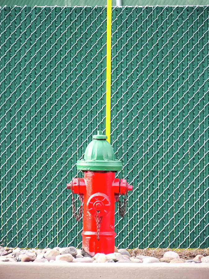 Fire Hydrant Photograph by Hvargasimage