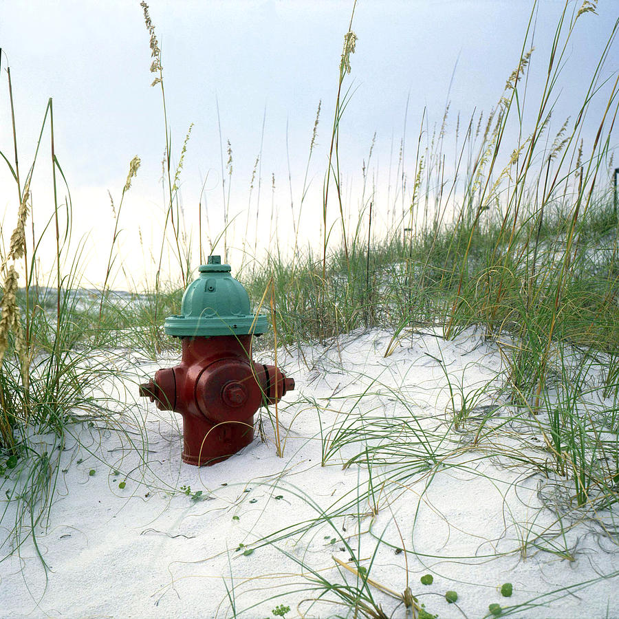 Fire Hydrant in Sea Oats Photograph by James C Richardson