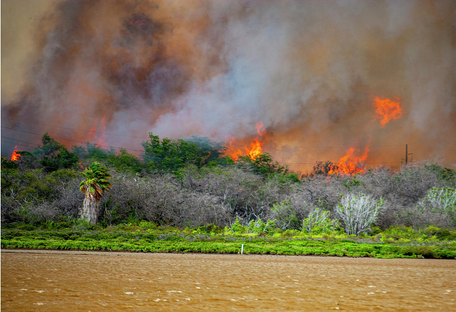 Fire in Paradise Photograph by Anthony Jones