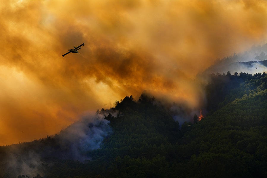 Fire In The Cilento National Park - Italy Photograph by Antonio Grambone