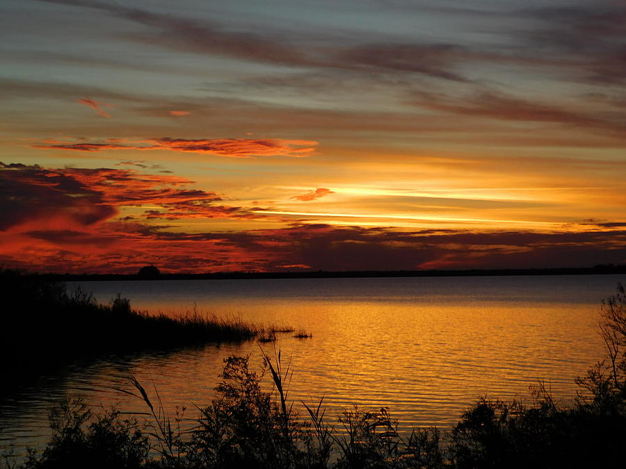 Fire In The Sky Photograph by CJ Saturday FloridaGirlSafaris