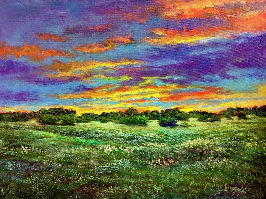 Sunset Painting - Fire In The Sky by Rand Burns