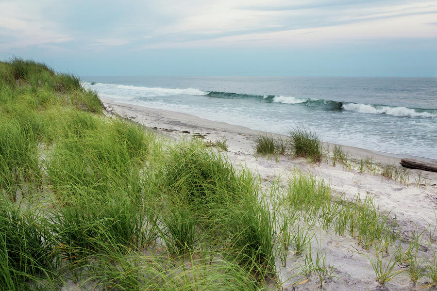 Fire Island Dunes and Beach Photograph by June Jacobsen