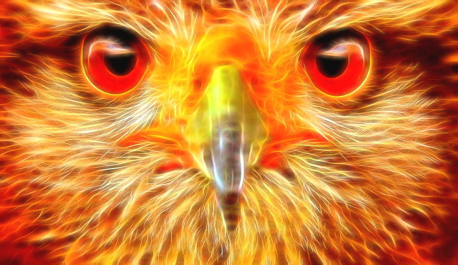 Fire Owl Digital Art by Andreas Thust