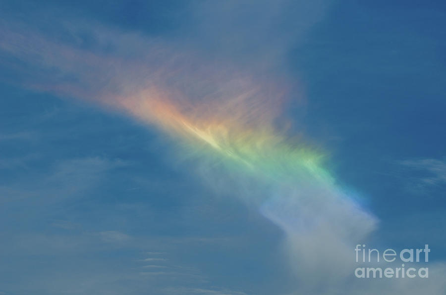 Fire Rainbow - Circumhorizontal Arc Photograph by Dale Powell