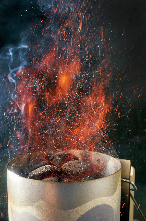 Fire Starter With Briquettes Photograph by Arjan Smalen Photography