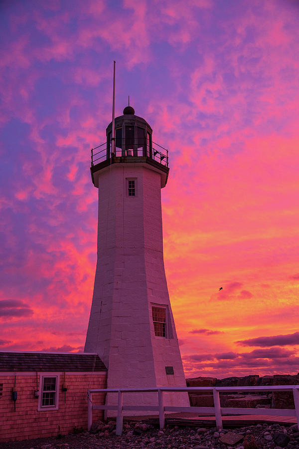 Fire Sunrise - Scituate Lighthouse Photograph by Ann-Marie Rollo