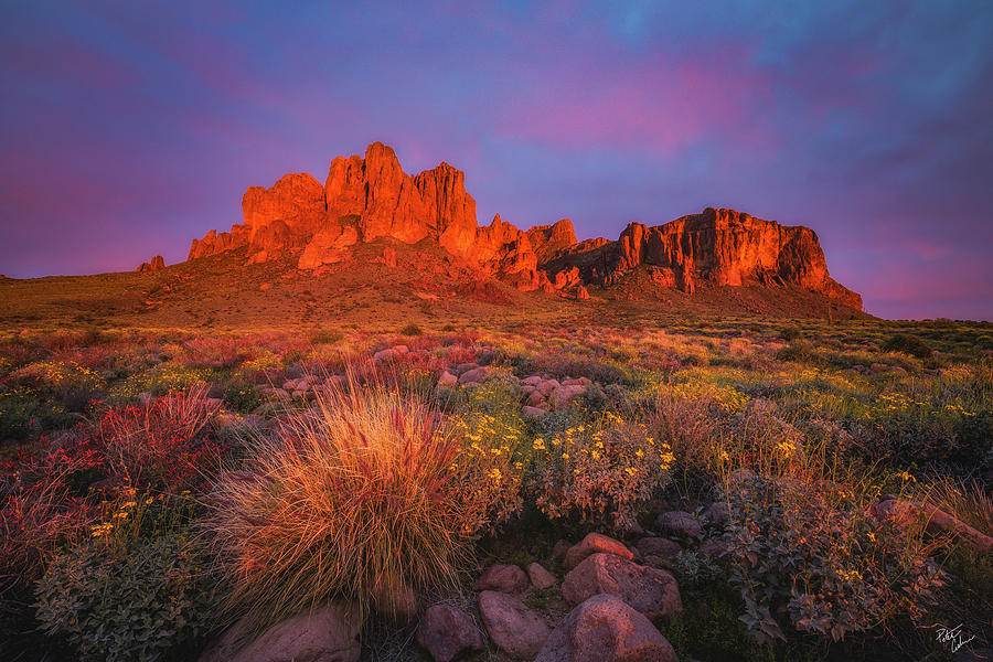 Firecracker Photograph by Peter Coskun - Fine Art America