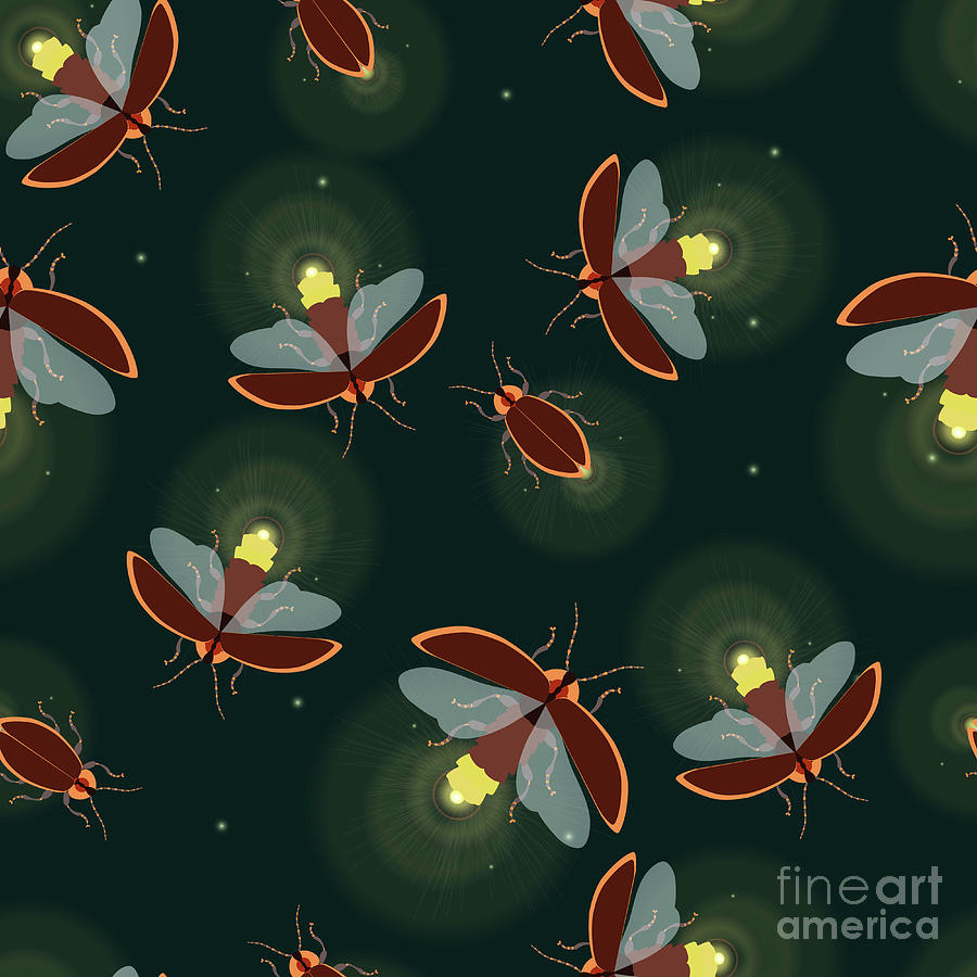 Firefly Photograph by Art4stock/science Photo Library