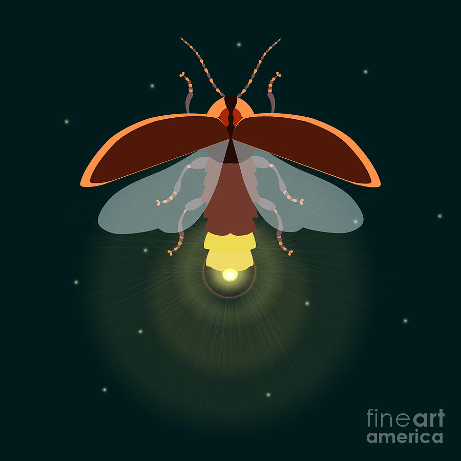 Symbol Digital Art - Firefly Design Template Lightning Bug by Art4stock