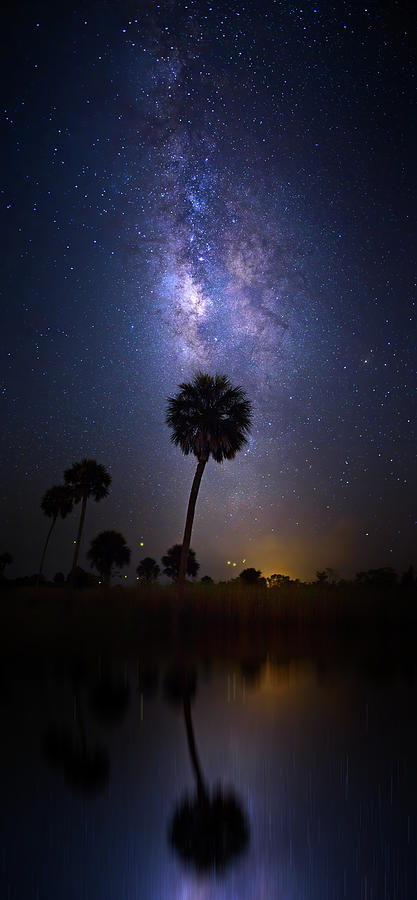 Firefly Milky Way Photograph by Mark Andrew Thomas