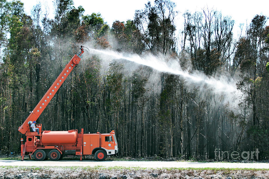 Firemen Spraying Water At Trees Photograph by Jeffrey Greenberg/uig/science Photo Library