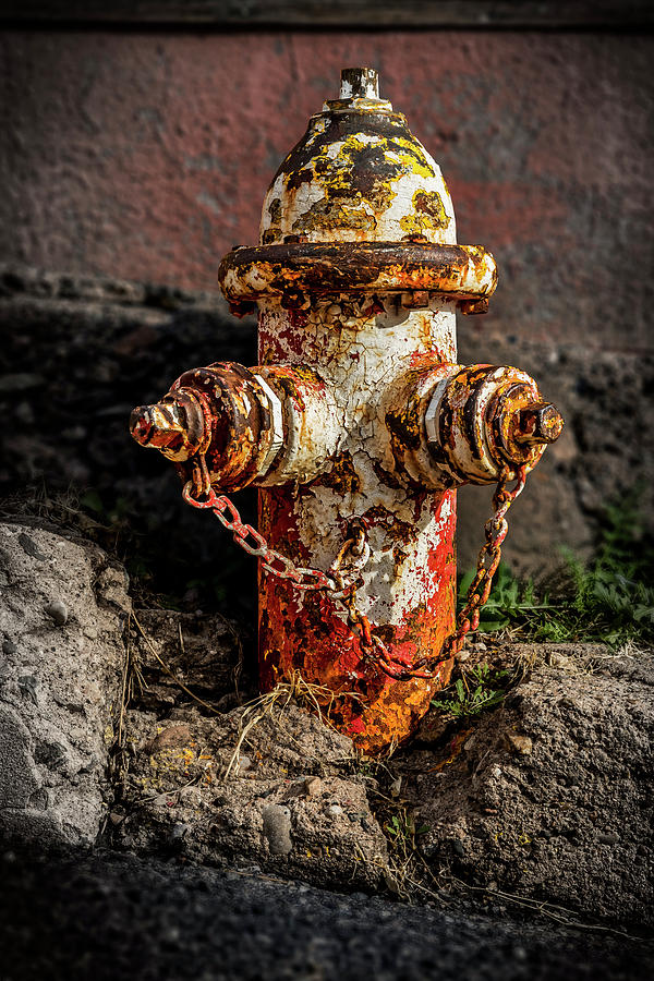Fireplug Photograph by Kelley King