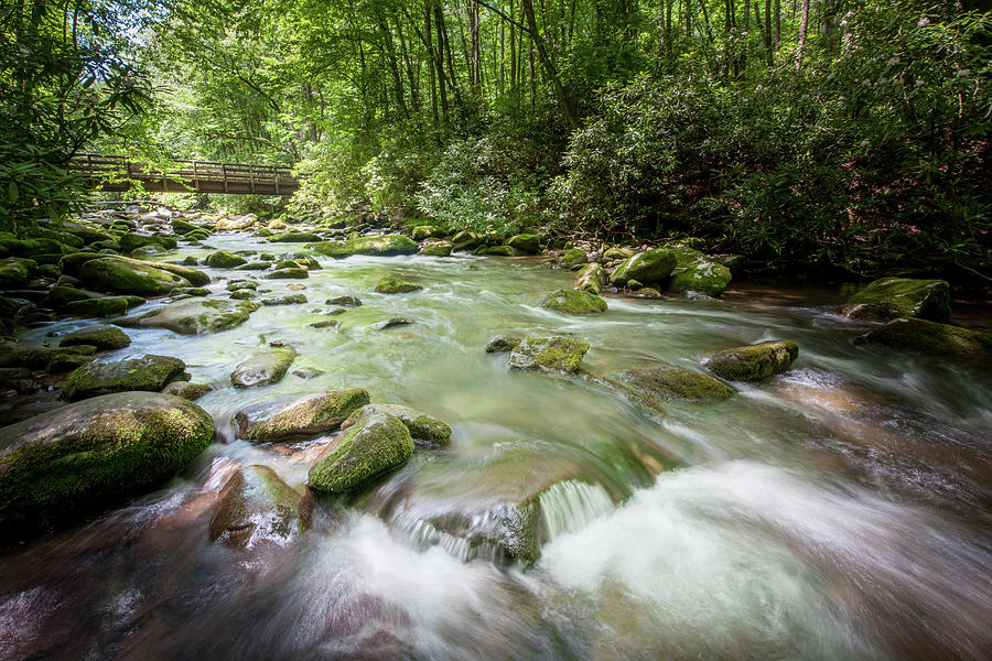 Fires Creek, North Carolina Photograph by Mark Duehmig