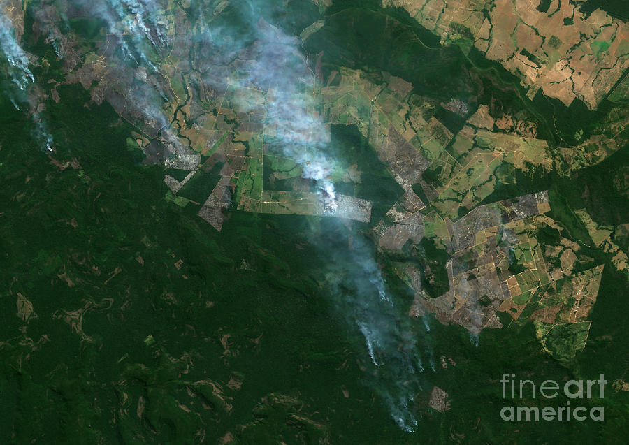 Fires In Amazonian Rainforest Photograph by Planetobserver/science Photo Library