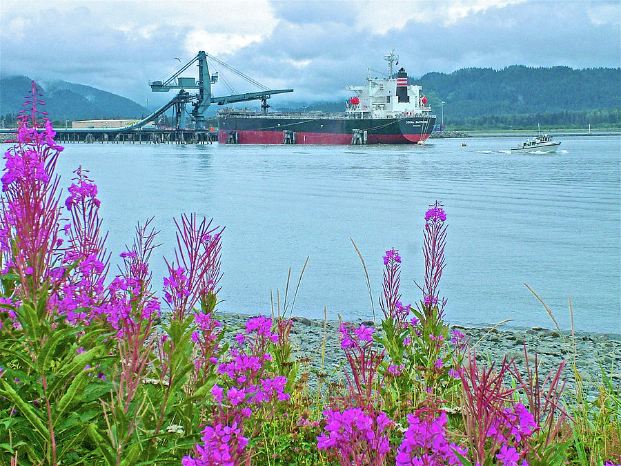 Fireweed on Shore and Freighter Loading in Resurrection Bay in Seward, Alaska Photograph by Ruth Hager