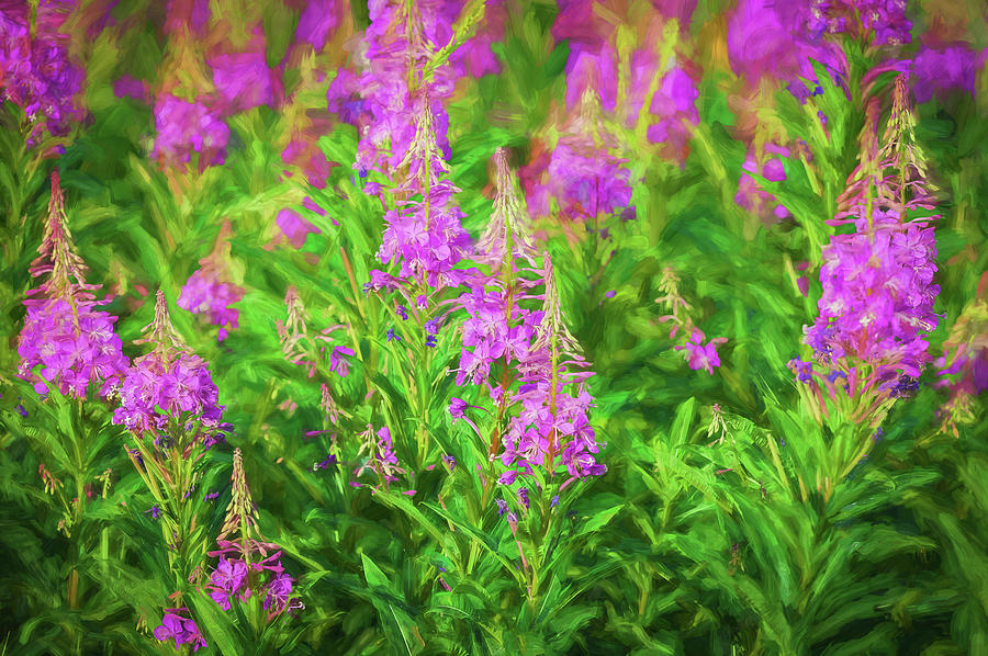 Fireweed Wildflowers Glacier National Park 101 Photograph by Rich Franco