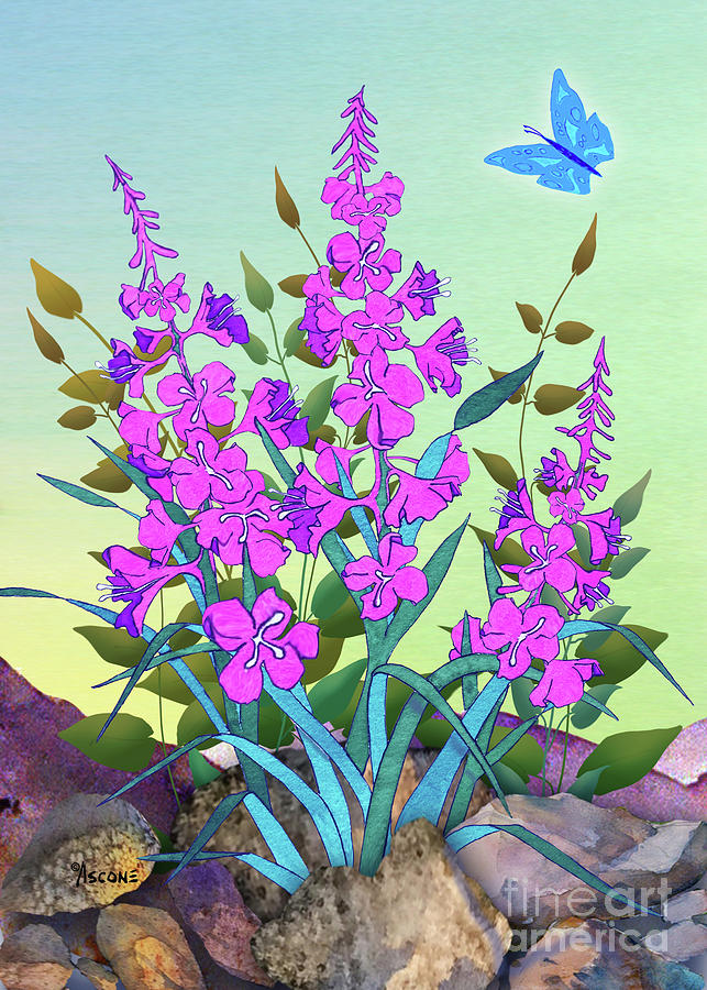 Fireweed with Rocks Painting by Teresa Ascone Fine Art America