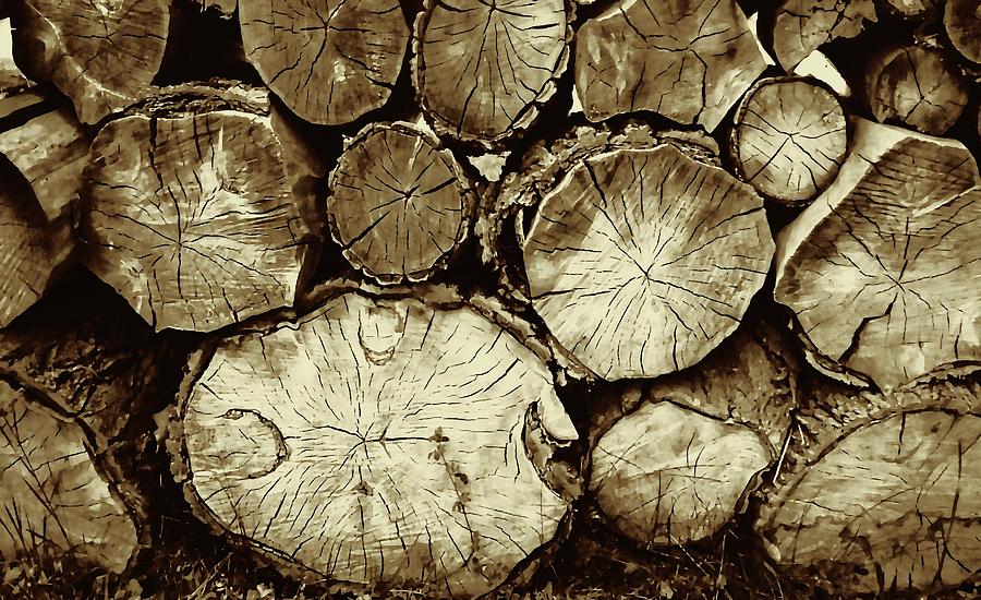 Firewood Photograph by Robert Bissett