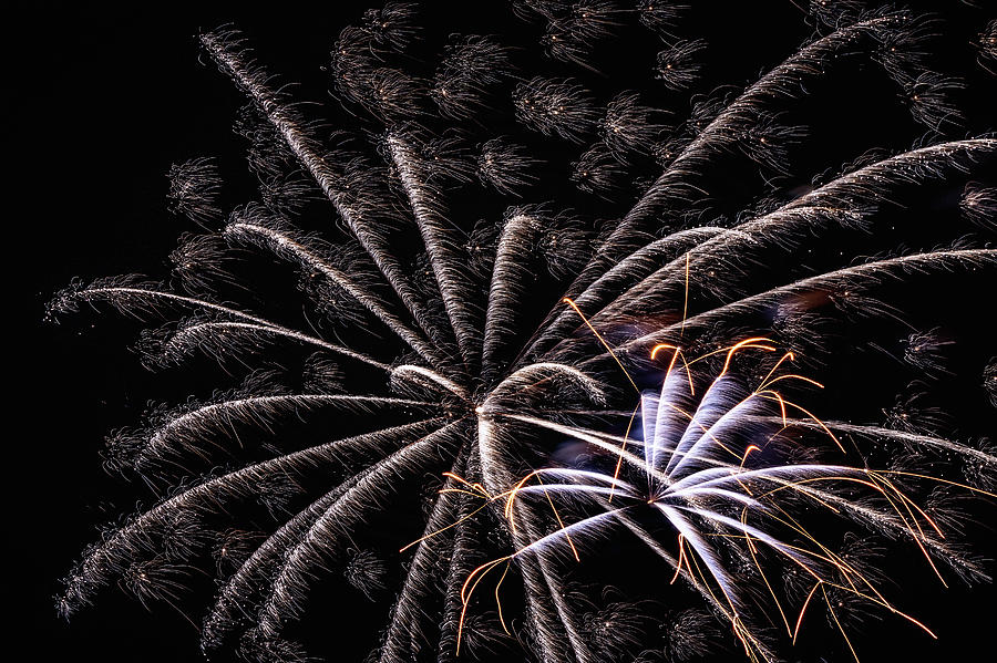Fireworks 2019 Eleven Photograph