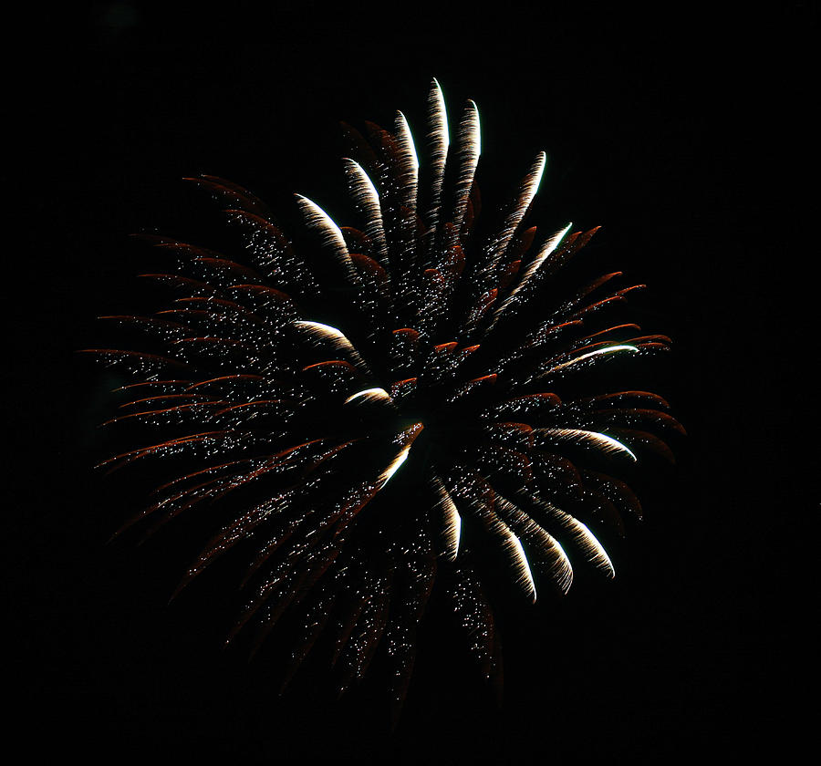 Fireworks 25 Photograph by Sue Zeigler - Fine Art America