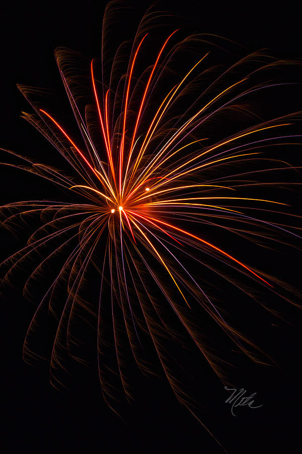 Fireworks Burst Photograph by Meta Gatschenberger