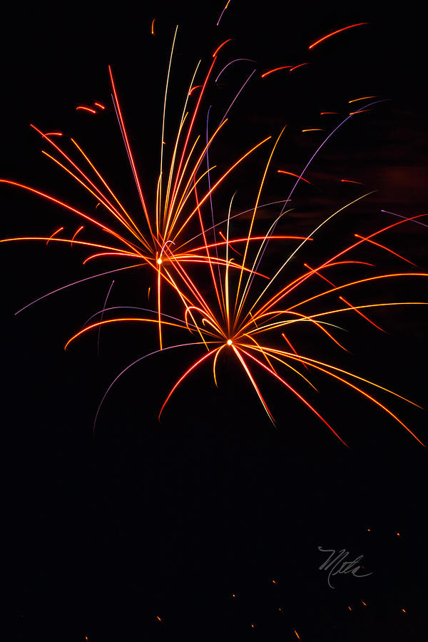 Fireworks Dual Photograph by Meta Gatschenberger