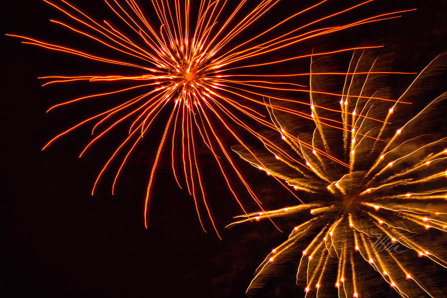 Fireworks Fur Ball Photograph by Meta Gatschenberger