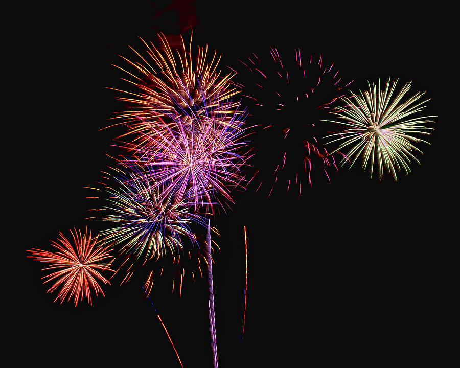 Fireworks - Gala Photograph by Nikolyn McDonald